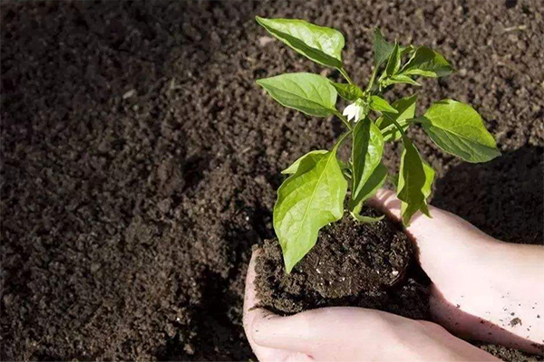 1647920576130037.jpg src=http___5b0988e595225.cdn.sohucs.com_images_20190213_3712ecc4b9da450092690c8d463f2169.jpeg&refer=http___5b0988e595225.cdn.sohucs.jpg